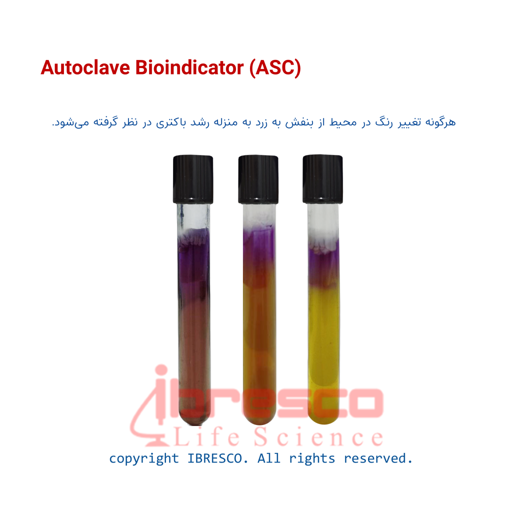 Autoclave Bioindicator (ASC) بیواندیکاتور اتوکلاو ایبرسکو