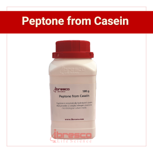 01-Peptone from Casein
