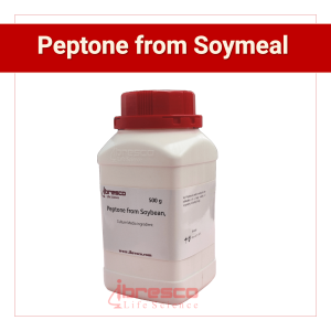01-Peptone from Soymeal