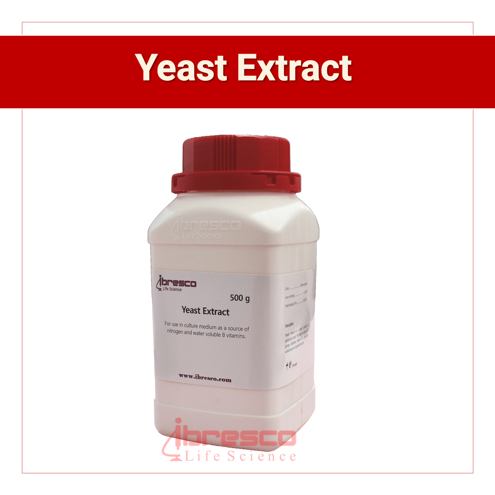 Yeast Extract Powder