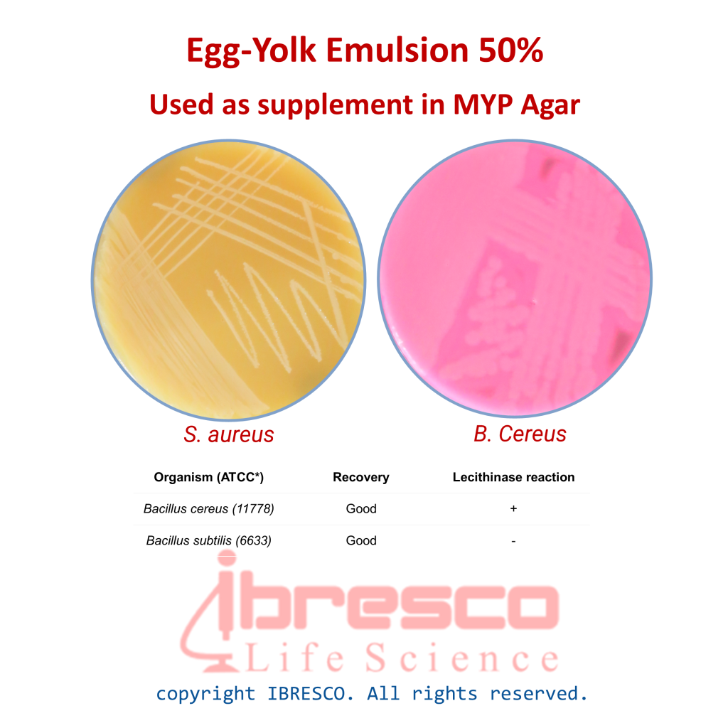 Egg Yolk Emulsion امولسیون زرده تخم مرغ ایبرسکو