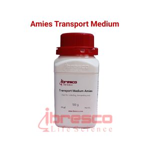 Amies_Transport_Medium