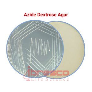 Azide_Dextrose_Agar