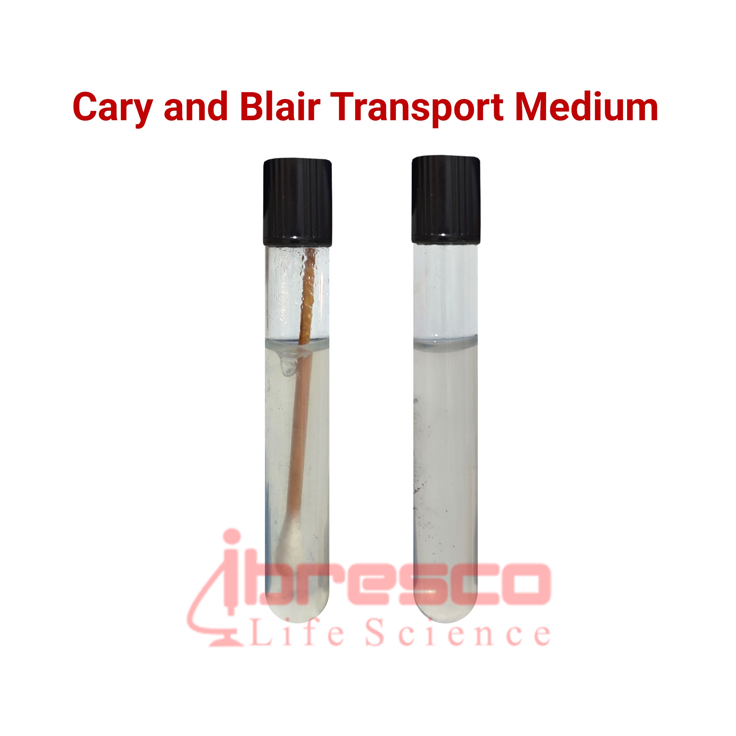 Cary And Blair Transport Medium | محیط انتقالی کری و بلیر | ایبرسکو