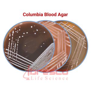 Columbia_Blood_Agar