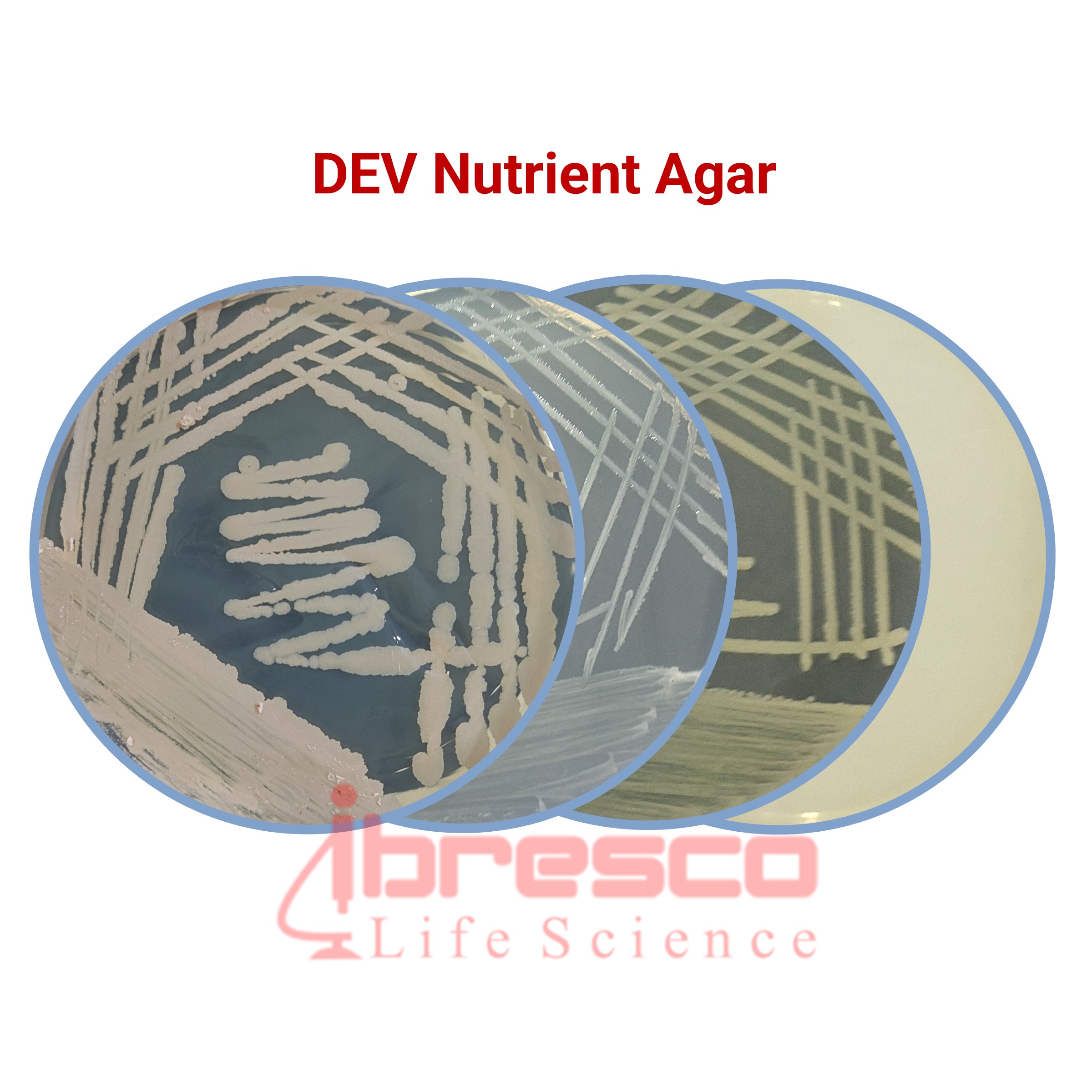 DEV_Nutrient_Agar