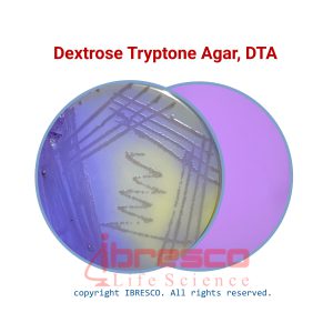 Dextrose_Tryptone_Agar