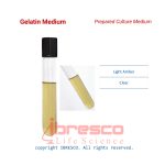 Gelatin_Medium_Prepared_Culture_Medium