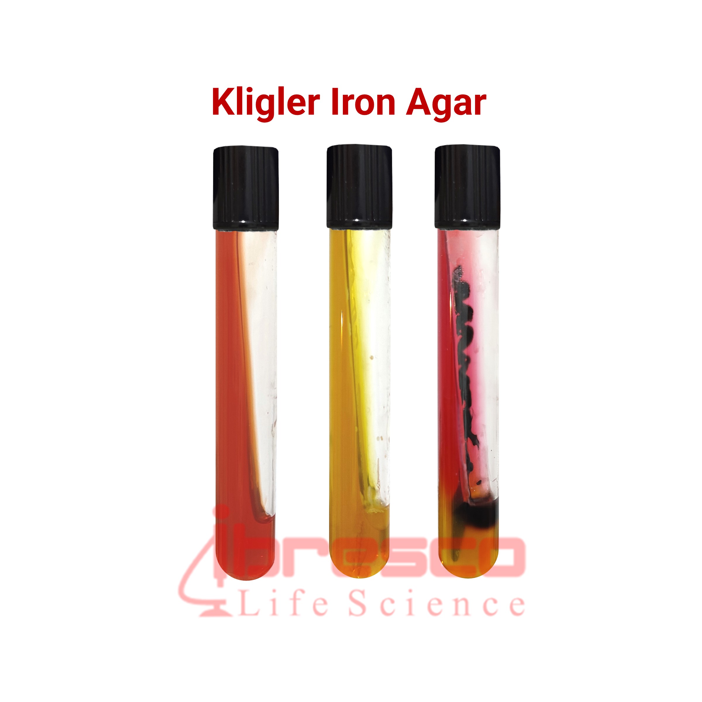 Kligler_Iron_Agar