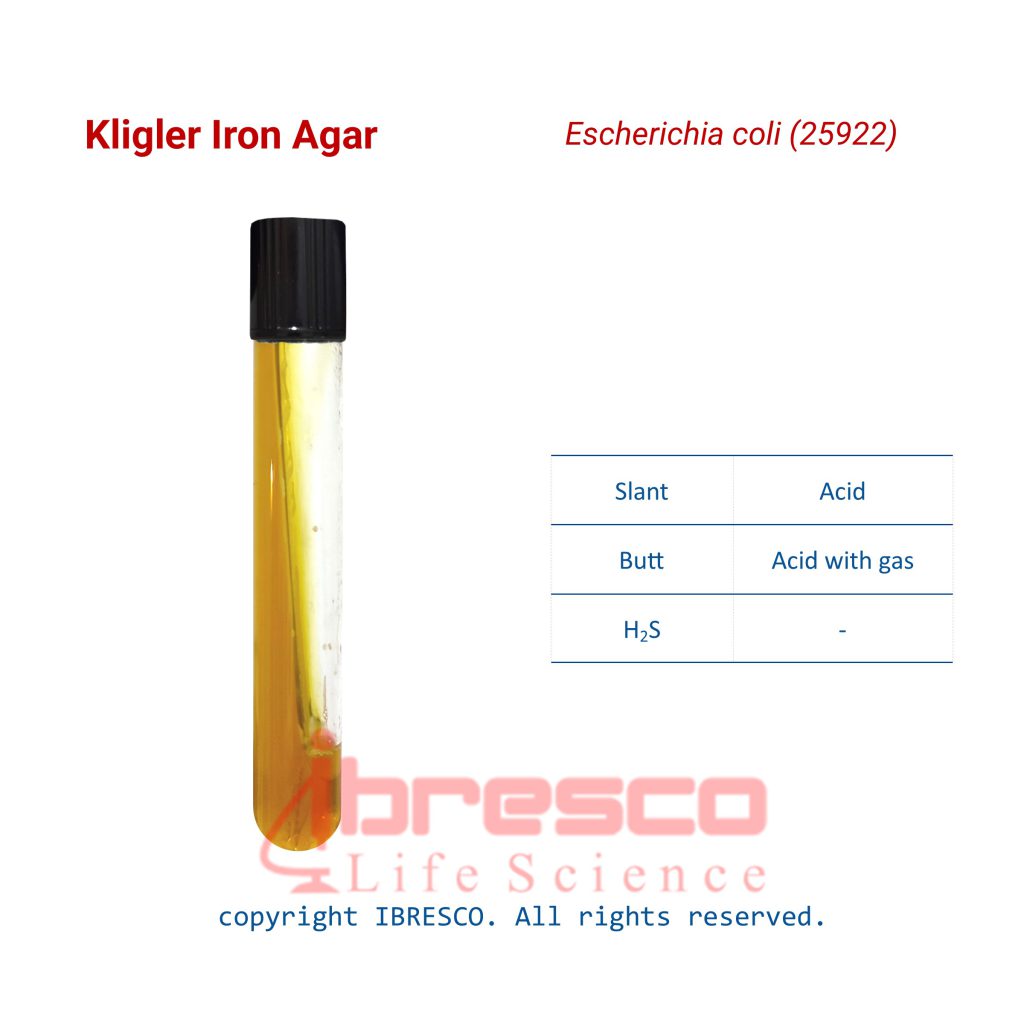 Kligler Iron Agar