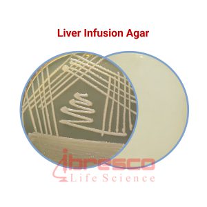 Liver_Infusion_Agar