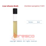 Liver_Infusion_Broth_Clostridium_sporogenes_(11437)