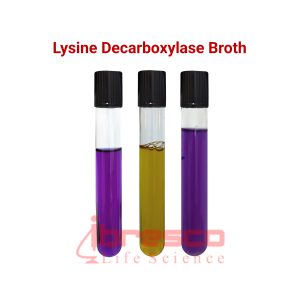 Lysine_Decarboxylase_Broth