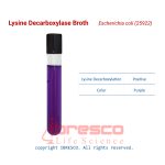 Lysine_Decarboxylase_Broth_Escherichia_coli(25922)