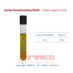 Lysine_Decarboxylase_Broth_Proteus_vulgaris(13315)