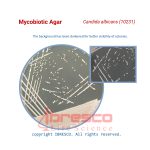 Mycobiotic_Agar_Candida_albicans(10231)