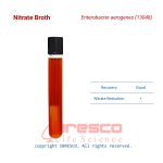 Nitrate_Broth_Enterobacter_aerogenes(13048)