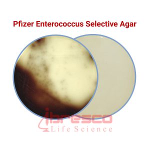 Pfizer_Enterococcus_Selective_Agar2