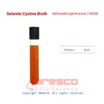 Selenite_Cystine_Broth_Salmonella_typhimurium(14028)