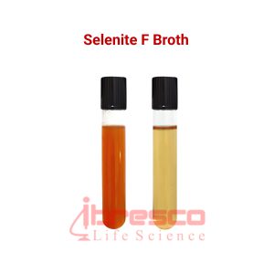 Selenite_F_Broth