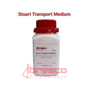 Stuart_Transport_Medium