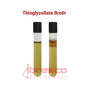 Thioglycollate_Broth