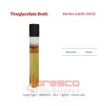 Thioglycollate_Broth_Bacillus_subtilis(6633)