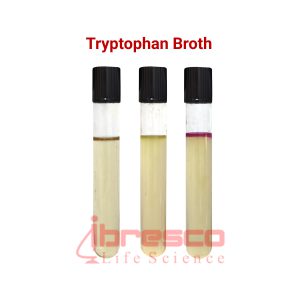 Tryptophan_Broth