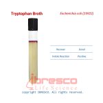 Tryptophan_Broth_Escherichia_coli(25922)