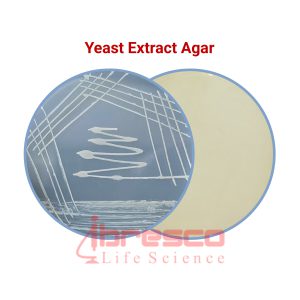 Yeast_Extract_Agar