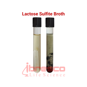 Lactose_Sulfite_Broth2