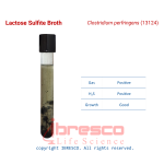 Lactose_Sulfite_Broth_Clostridium_perfringens